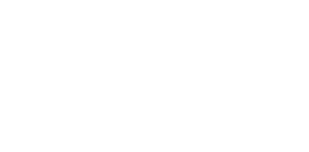 Star auto impotrt